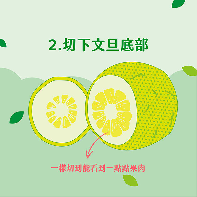快速切柚子步驟圖：切底部｜三輩田Treeple－優質農產品專家