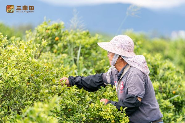 香檬原汁產品輪播圖｜三輩田Treeple－優質農產品專家