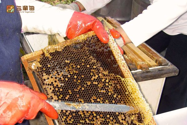蜂蜜產品詳情頁｜三輩田Treeple－優質農產品專家